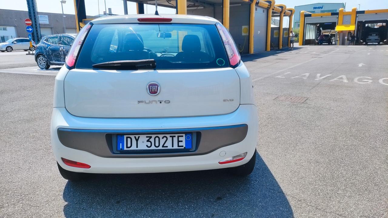 Fiat Punto Evo 1.2 3 porte Dynamic NEOPATENTATI - 2010