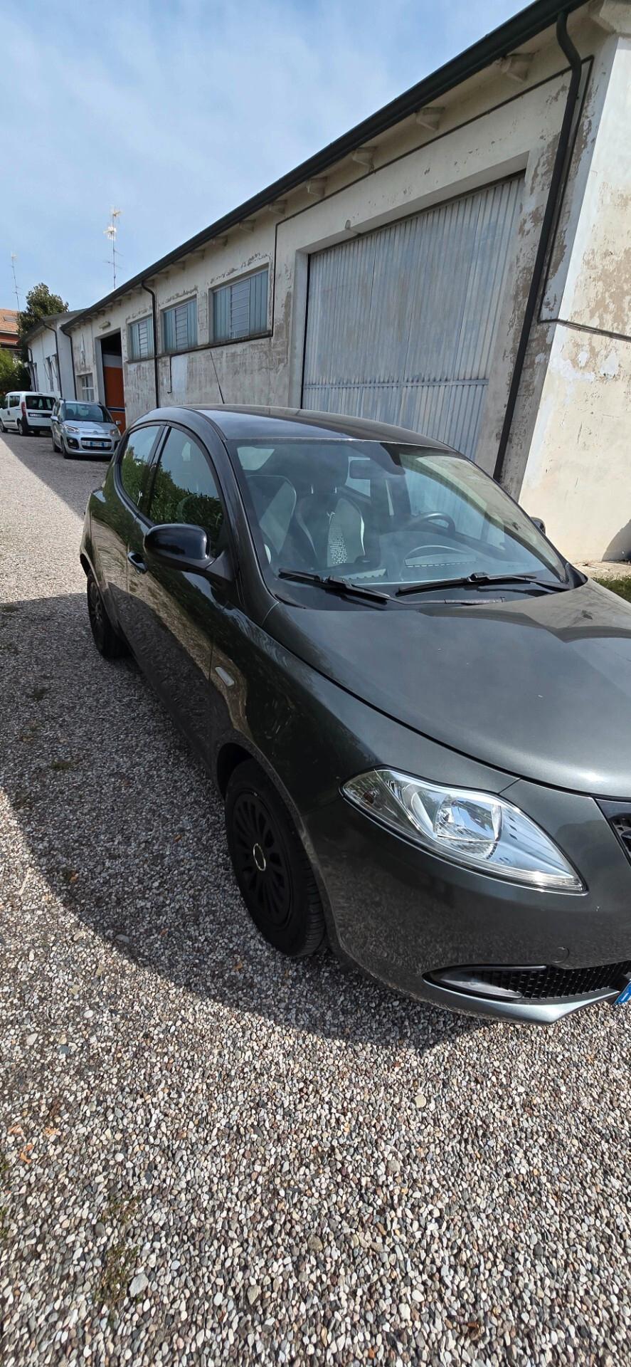 Lancia Ypsilon 1.3 MJT 16V 95 CV 5 porte S&S Elefantino