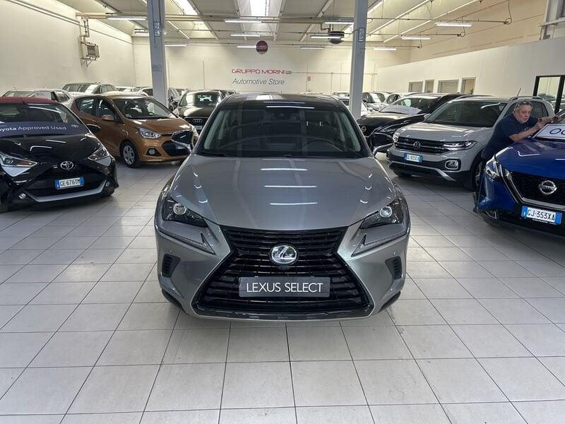 Lexus NX Hybrid 4WD Premium