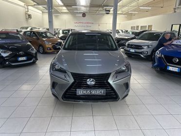 Lexus NX Hybrid 4WD Premium