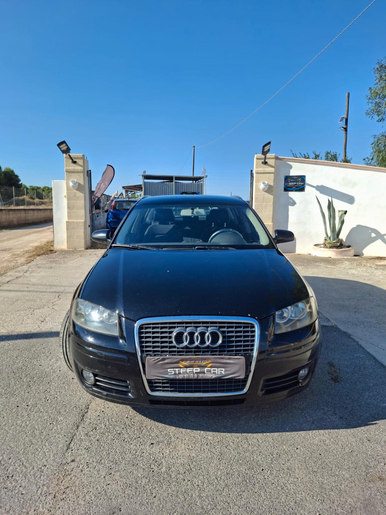 Audi A3 SPB 2.0 TDI + CARRELLO OMOLOGATO