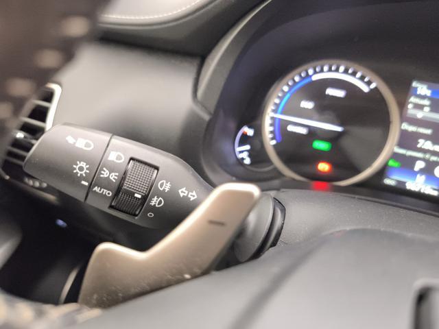 LEXUS NX 300h 300h 2.5 Business 2wd cvt