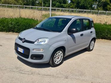 Fiat Panda 1.0 FireFly Hybrid 5 Posti