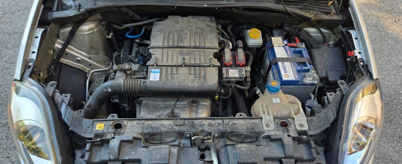 Fiat Punto Evo 1.2 5 porte Dynamic