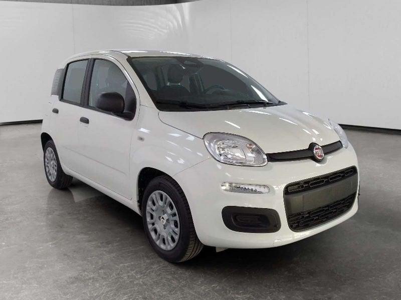FIAT Pandina 1.0 firefly hybrid Icon s&s 70cv 5p.ti