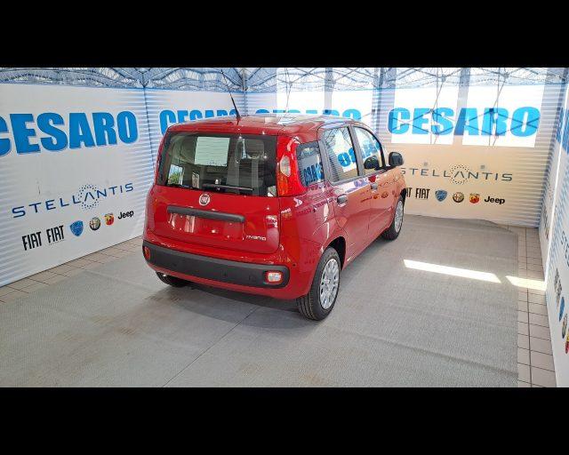 FIAT New Panda 1.0 firefly hybrid s&s 70cv