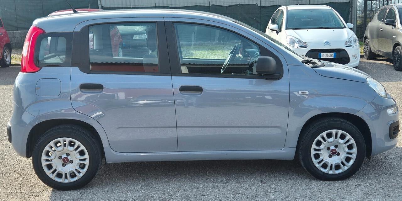 Fiat Panda 1.2 EasyPower Easy GPL casa madre