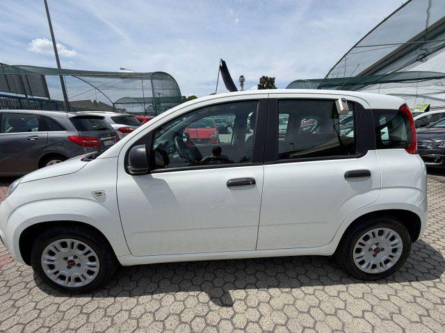 FIAT Panda Panda III 1.2 Lounge easypower Gpl 69cv my19