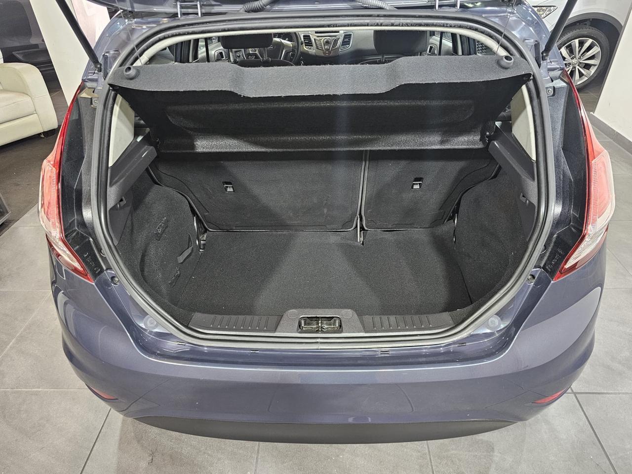 Ford Fiesta 1.5 TDCi 75CV 5 porte Titanium
