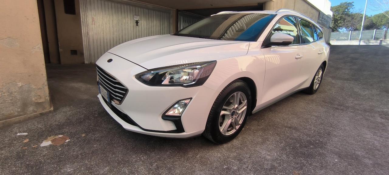 Ford Focus 1.5 EcoBlue 120 CV automatico SW Business Co-Pilot