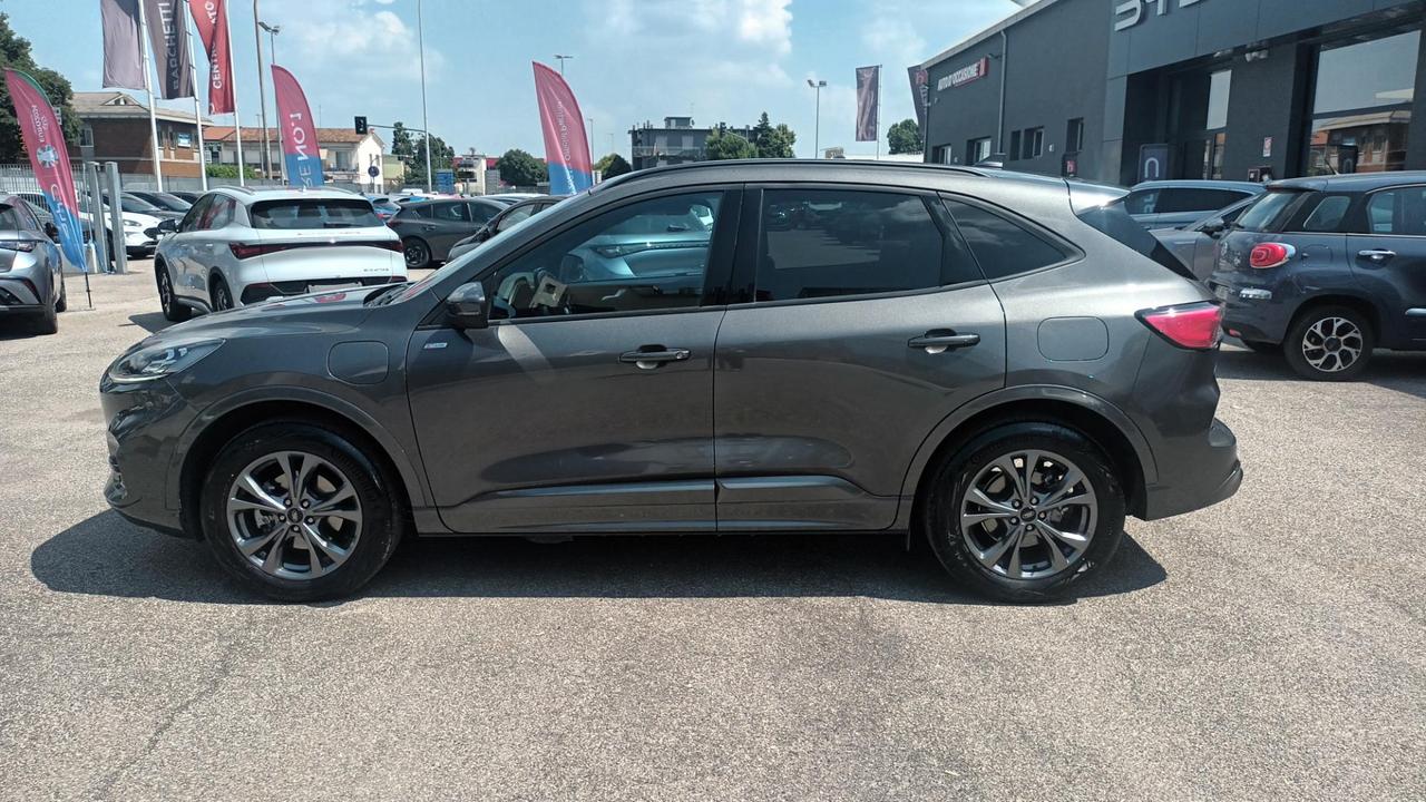 FORD Kuga 3ª serie - Kuga 2.5 Plug In Hybrid 225 CV CVT 2WD ST-Line X