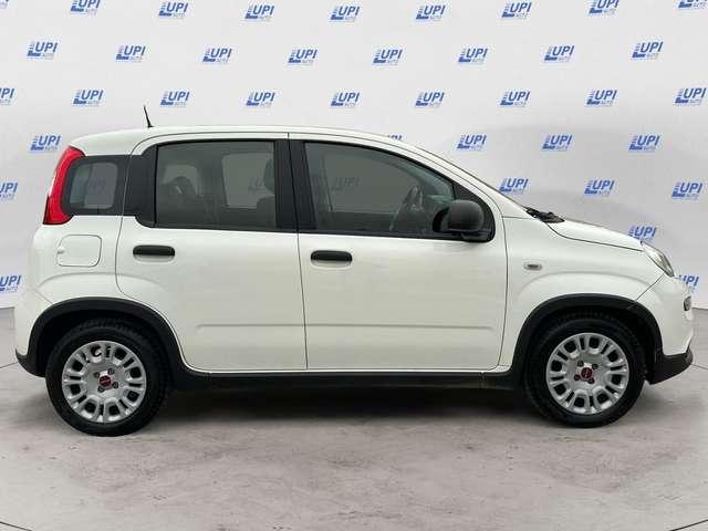 Fiat Panda 1.0 firefly hybrid s&s 70cv 5p.ti