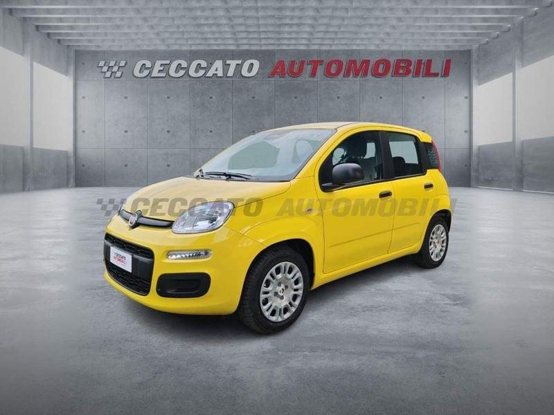 FIAT Panda Panda 1.0 70cv Hybrid Icon