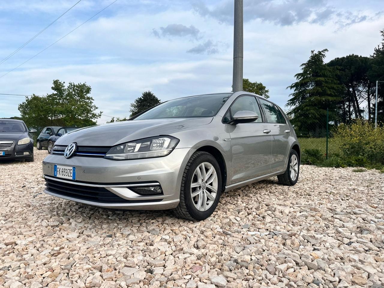 Volkswagen Golf 1.4 TGI 5p. Executive BlueMotion