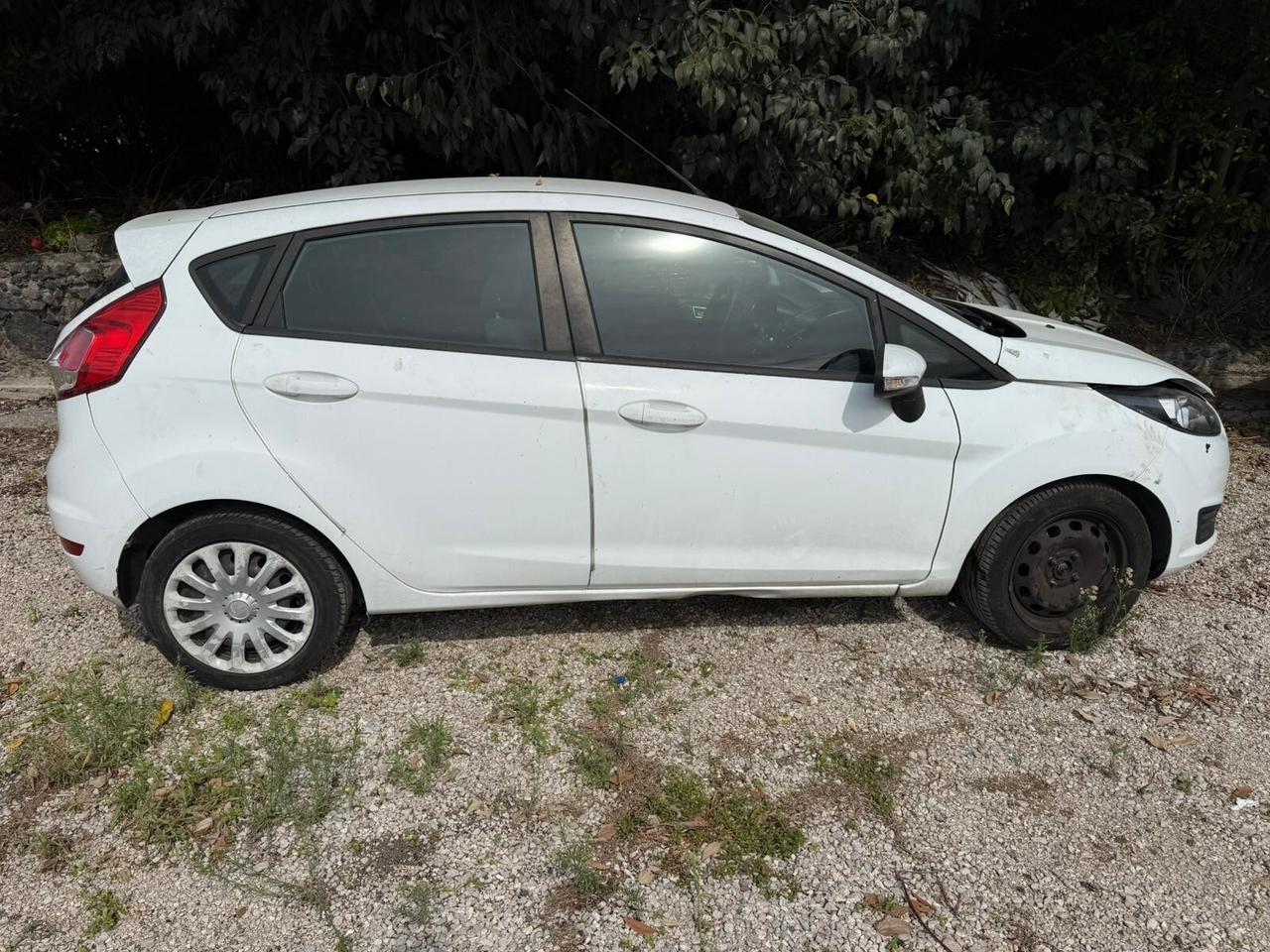 Ford Fiesta 1.5 Tdci 75cv 5P Motore rotto