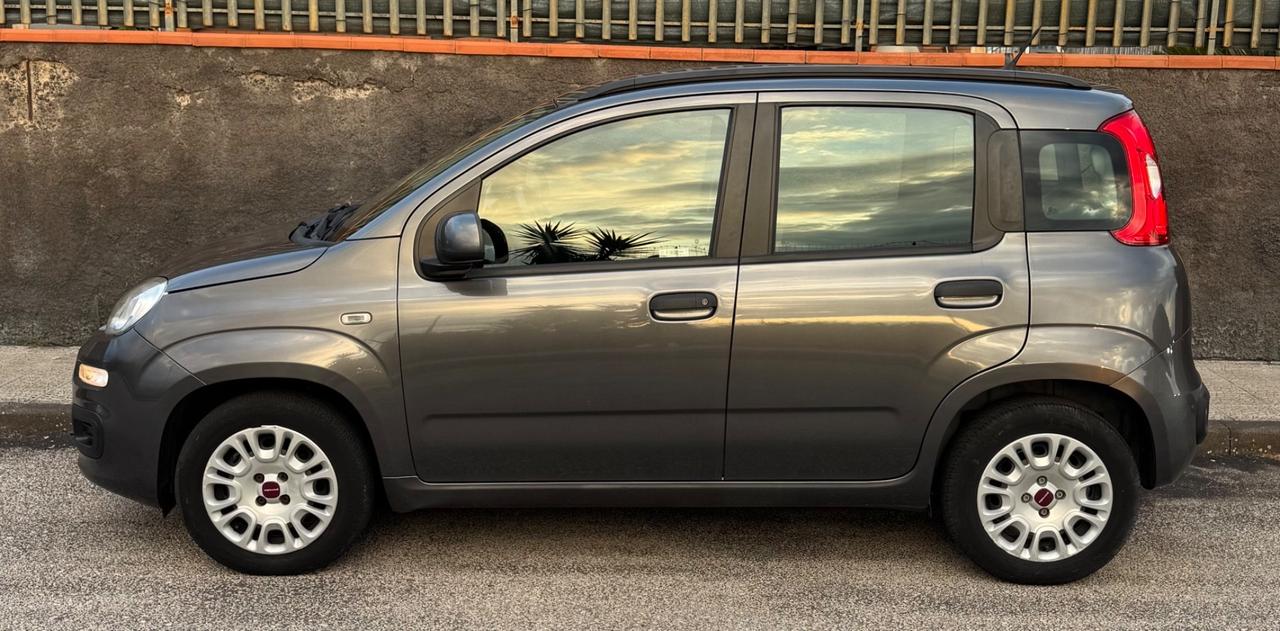 Fiat Panda 1.2 SOLO 60.000 KM CERTIFICATI