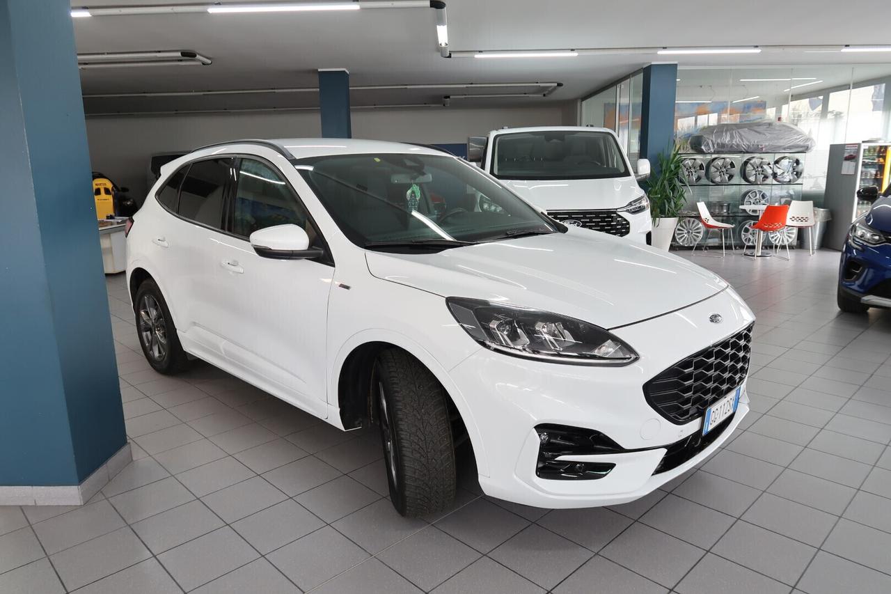 Ford Kuga 1.5 EcoBlue 120 CV aut. ST-Line
