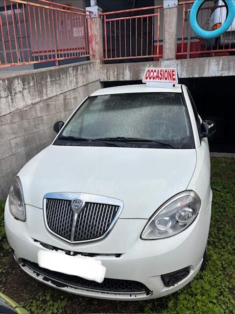 Lancia Ypsilon 1.2 69 CV Platinum