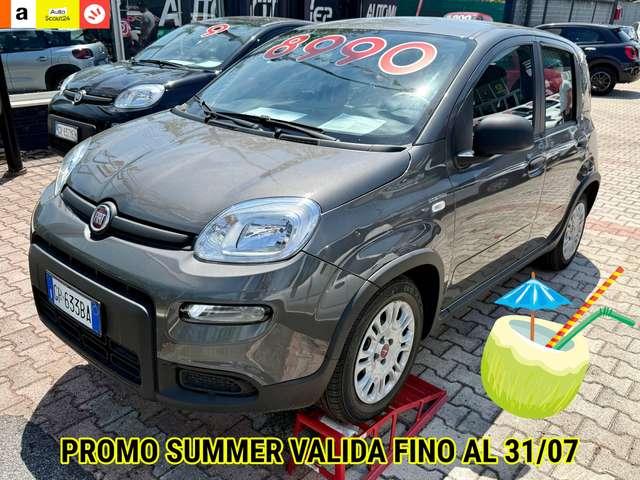 Fiat Panda Panda 1.0 firefly hybrid PRONTA CONSEGNA DISPONIBILI VARI COLORI
