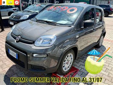 Fiat Panda Panda 1.0 firefly hybrid PRONTA CONSEGNA DISPONIBILI VARI COLORI