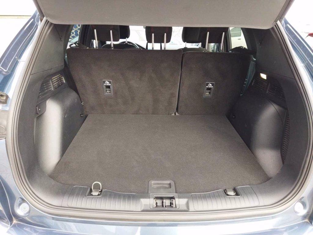 FORD Kuga 1.5 EcoBlue 120 CV aut. 2WD ST-Line X del 2022