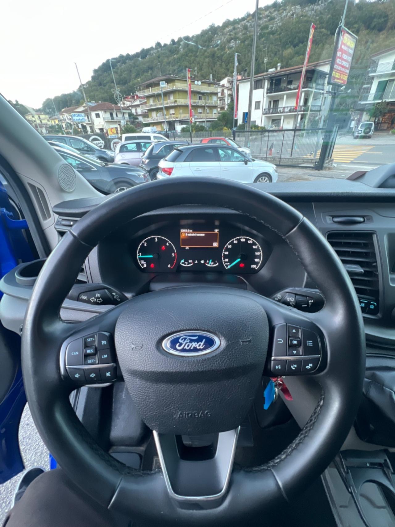 Ford Transit 290 2.0TDCi EcoBlue PM-TM Furgone