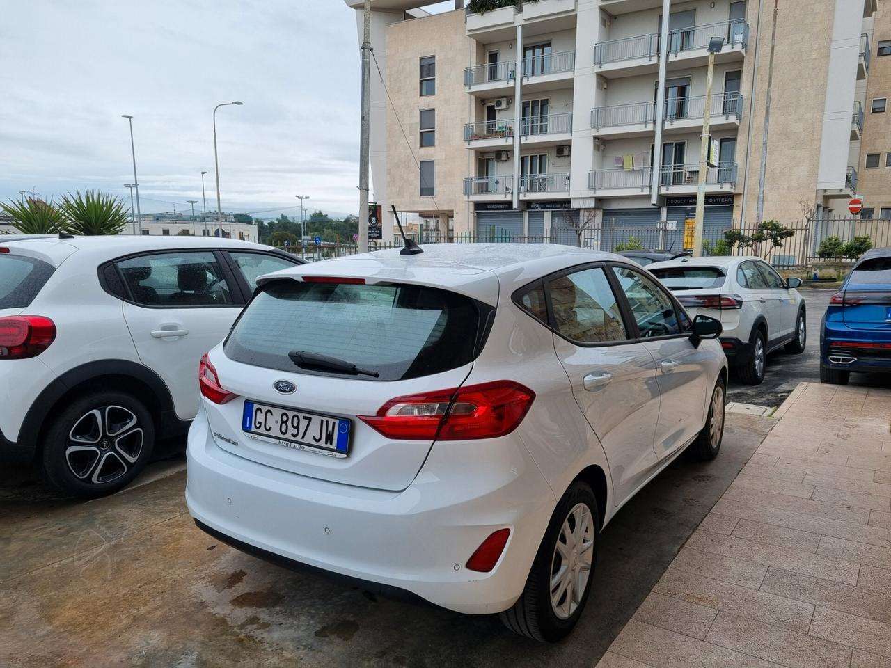 Ford Fiesta 1.5 EcoBlue 5 porte Business