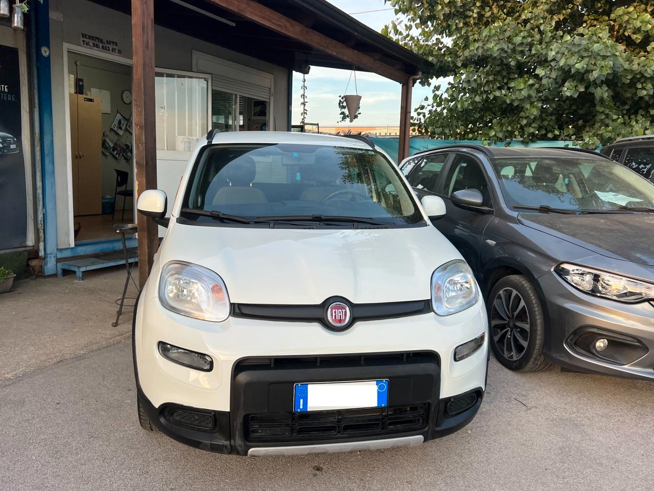 FIAT PANDA 2022