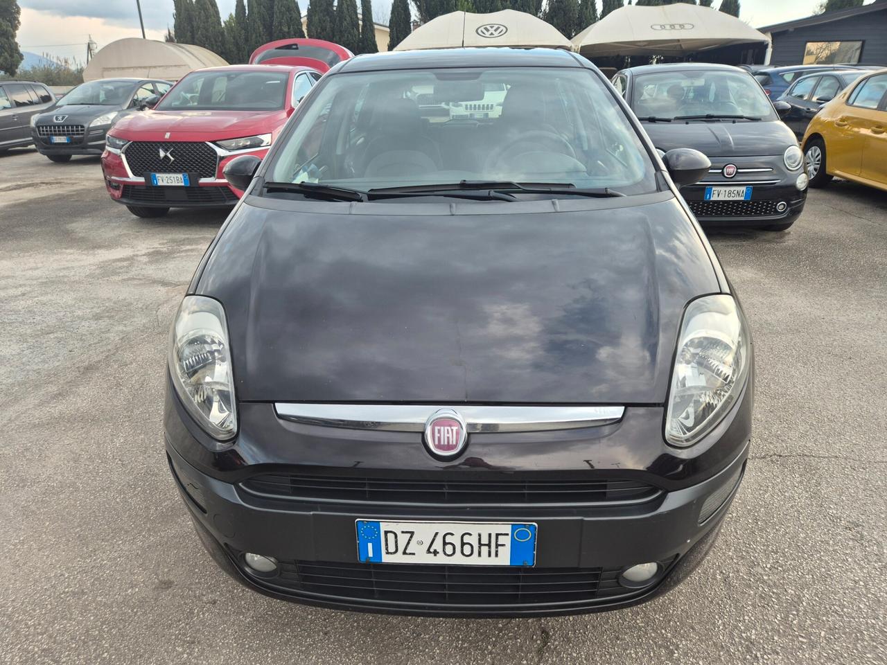 Fiat Punto Evo 1.4 5 porte Dynamic