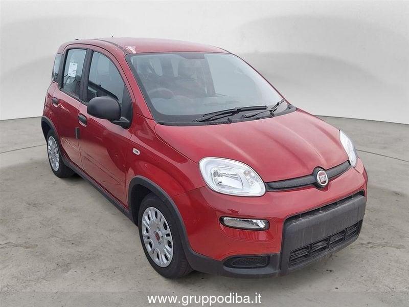 FIAT Panda 1PH My24 1.0 70cv Hybrid Panda