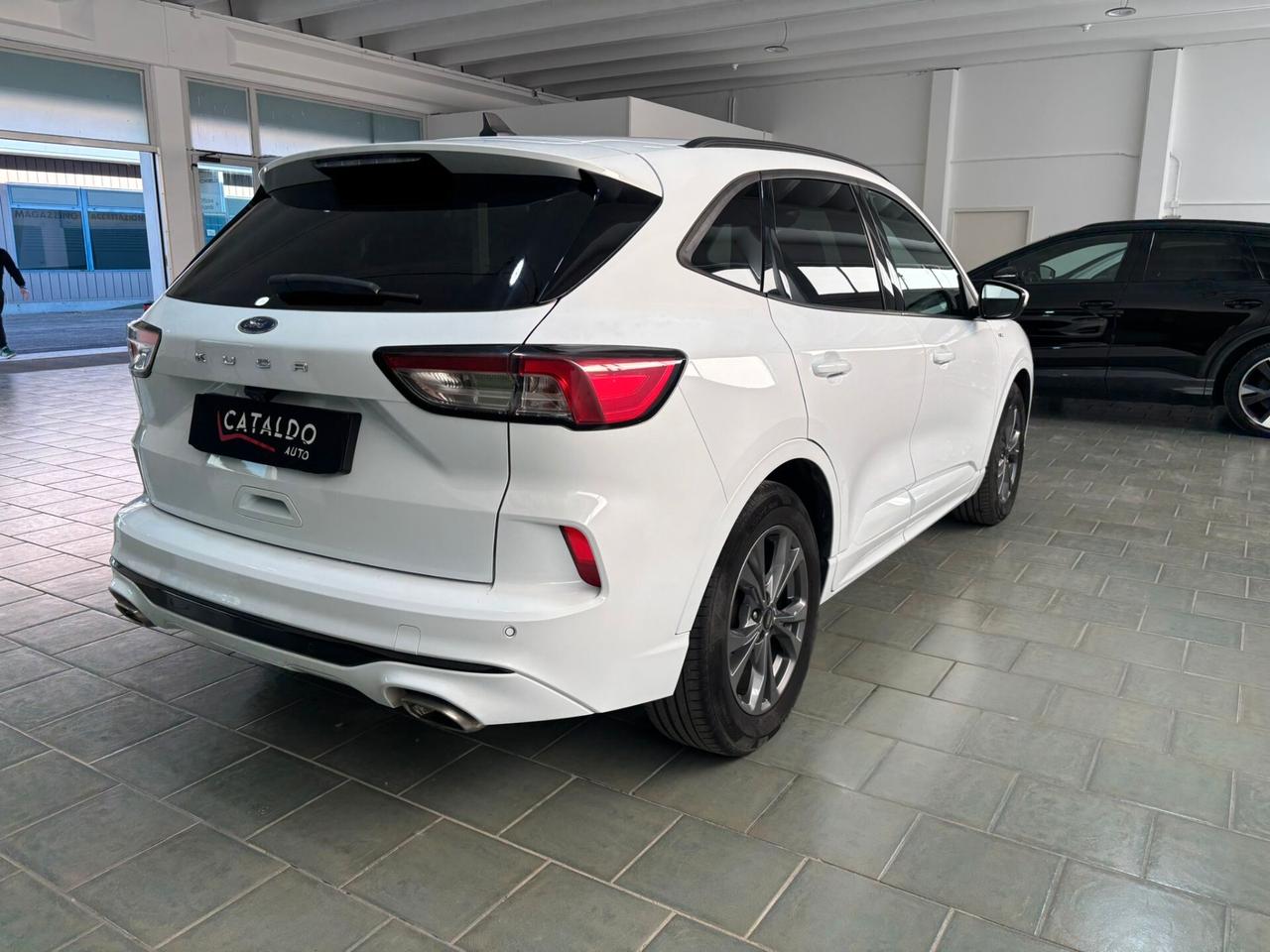 Ford Kuga 1.5 EcoBlue 120 CV 2WD ST-Line