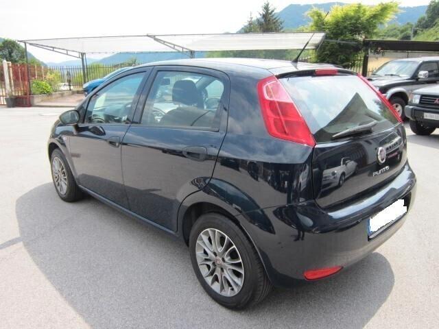 Fiat Punto 1.2 8V 5 porte Street NEOPATENTATI