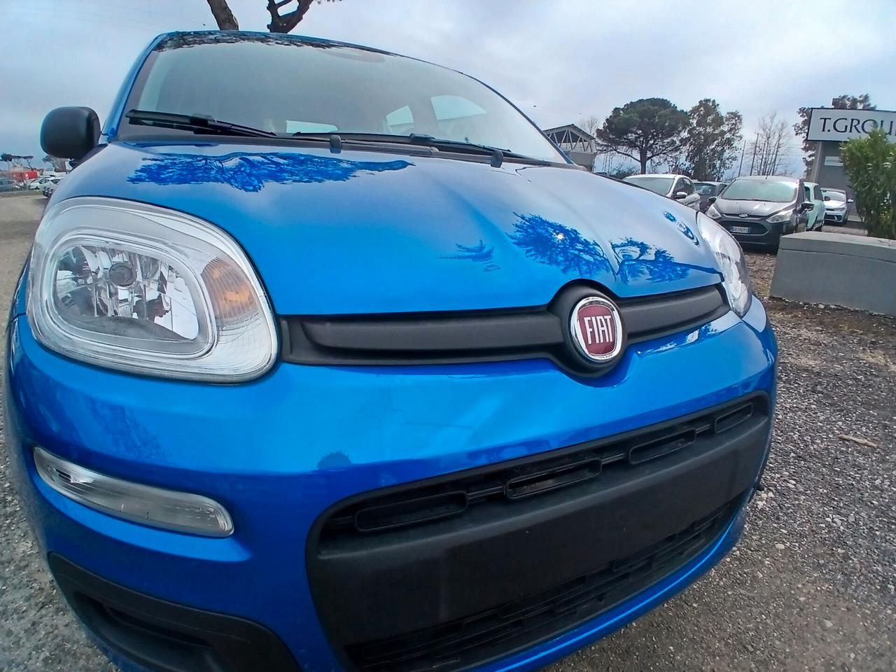 Fiat Pandina 1.0 FireFly 65 CV Hybrid Icon