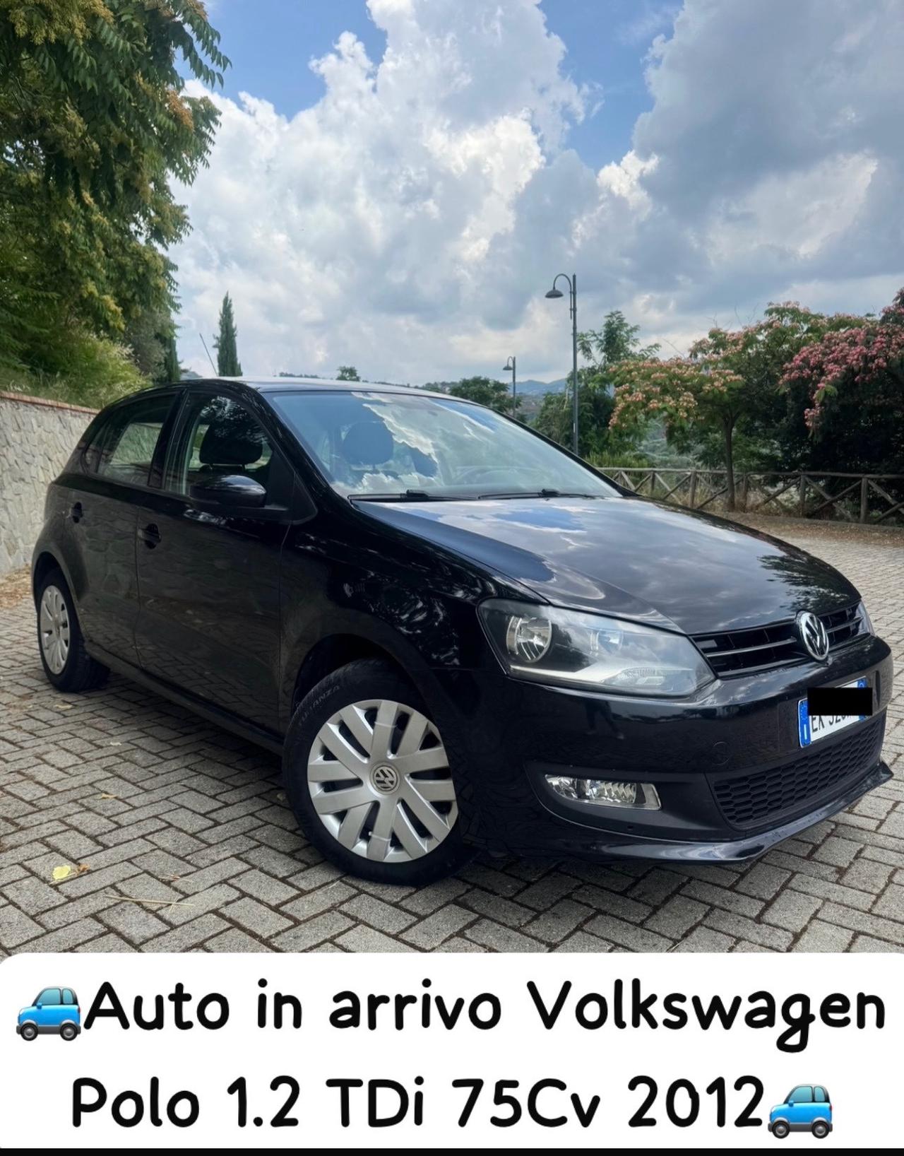 Volkswagen Polo 1.2 TDI 75Cv Euro5 2012