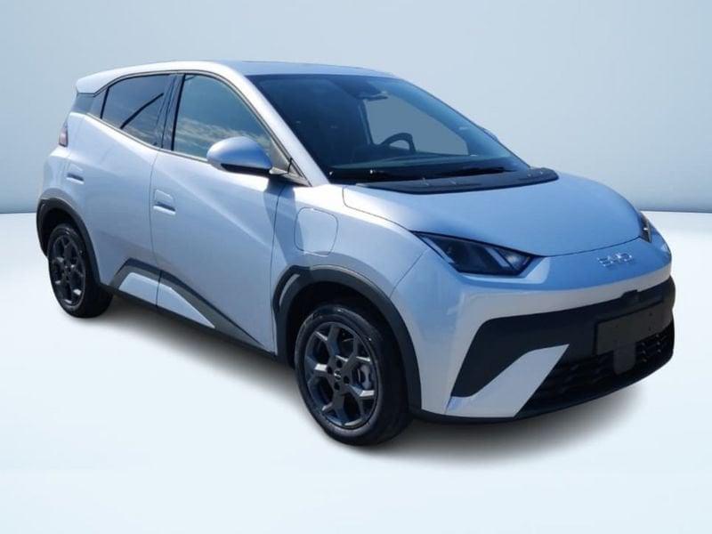 BYD Dolphin Surf Comfort