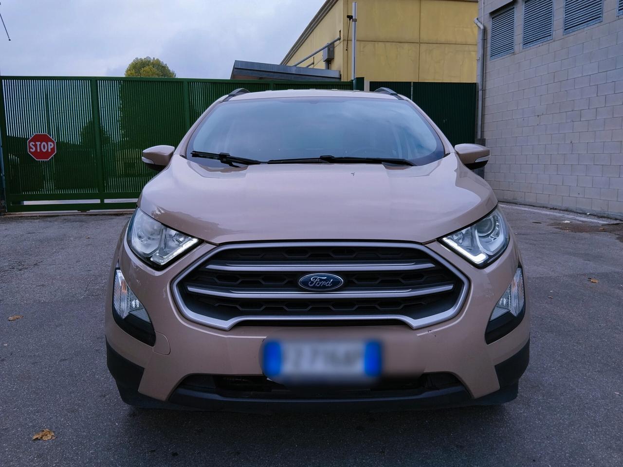 Ford EcoSport 1.0 EcoBoost 100 CV Business