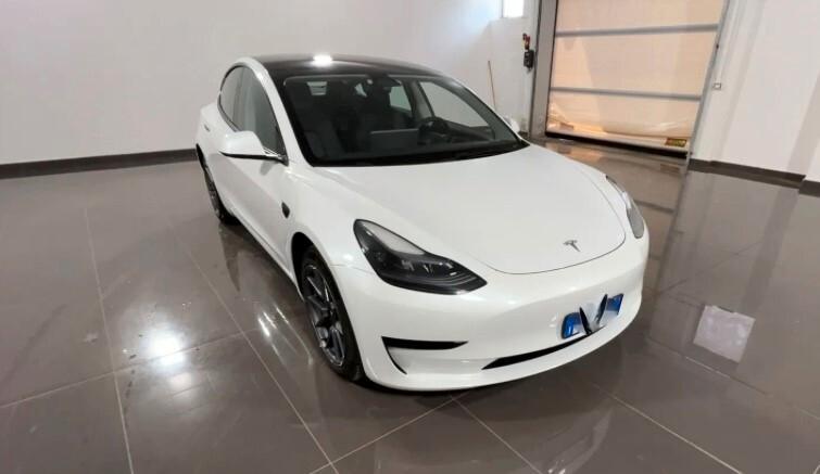 Tesla Model 3 Model 3 Standard rwd Plus