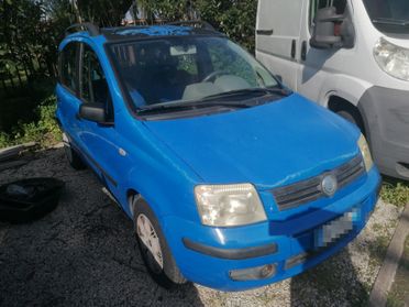 Fiat Panda 1.2 Dynamic motore?