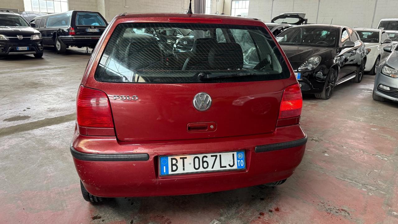 Volkswagen Polo 1.0 cat 5 porte
