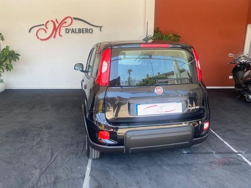 FIAT Panda 1.0 FireFly 70cv S&S Hybrid
