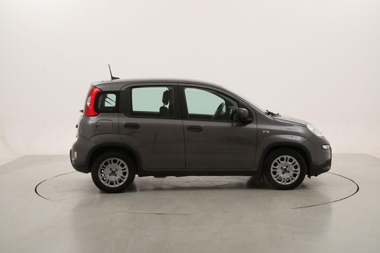 Fiat Panda Hybrid BR227350 1.0 Mild Hybrid 70CV