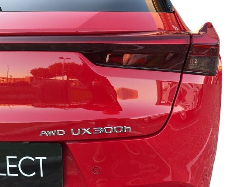 Lexus UX LEXUS UX 300h 4WD F-Sport