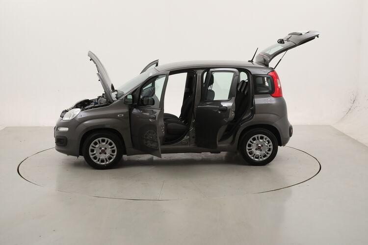 Fiat Panda Hybrid BR437073 1.0 Mild Hybrid 70CV