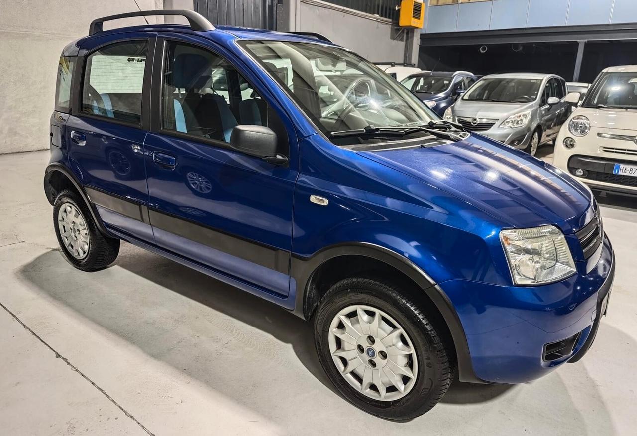 Fiat Panda Benzina Neopatentati 4x4 Distribuzione Nuova