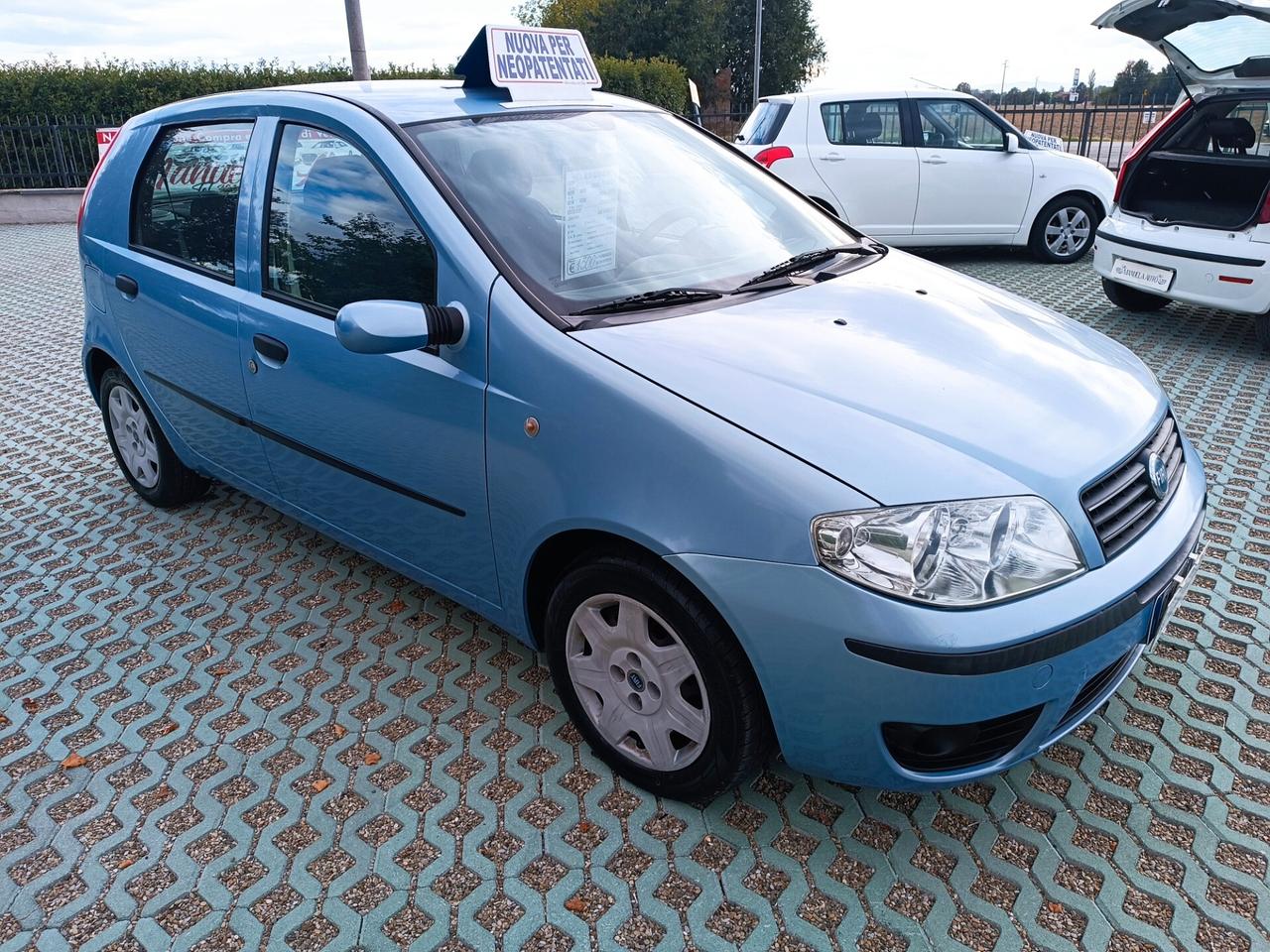 Fiat Punto 1.3 Multijet 16V 5 porte Active