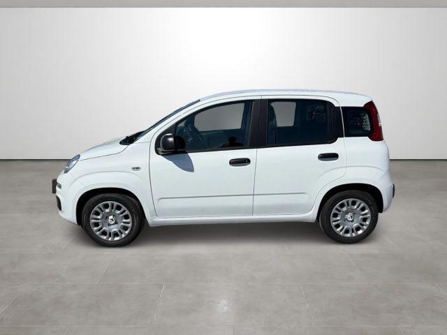 FIAT Pandina 1.0 FireFly 65 CV Hybrid Icon