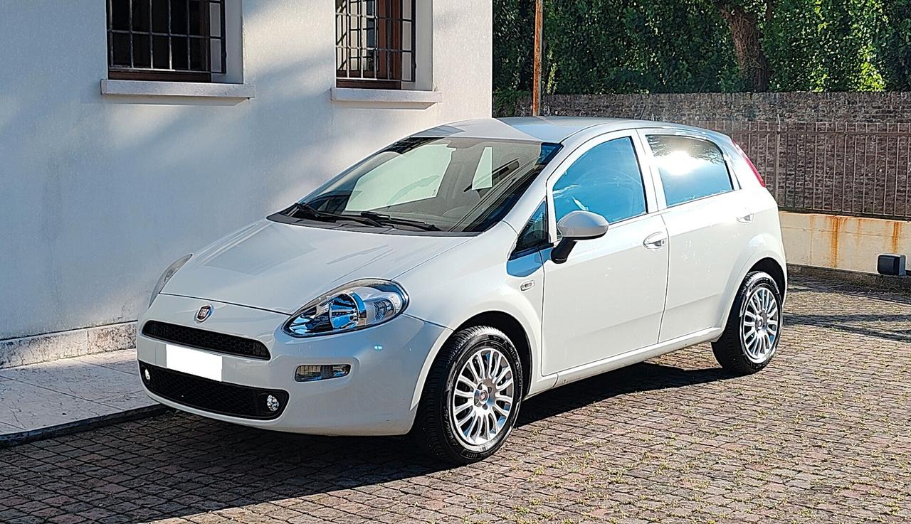 Fiat Punto 1.4 8V Street GPL 2017 OK NEOPATENTATI