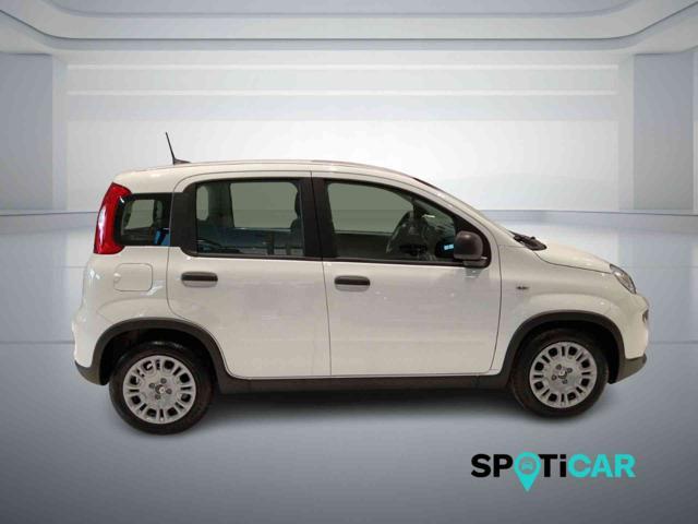 FIAT Panda 1.0 FireFly S&S Hybrid PANDINA ADAS