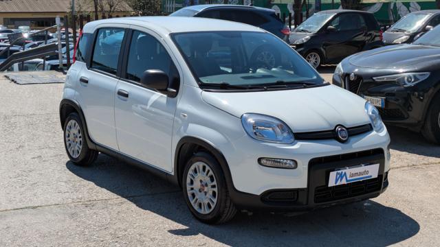 FIAT Panda FireFly Hybrid 1.0cc 69cv