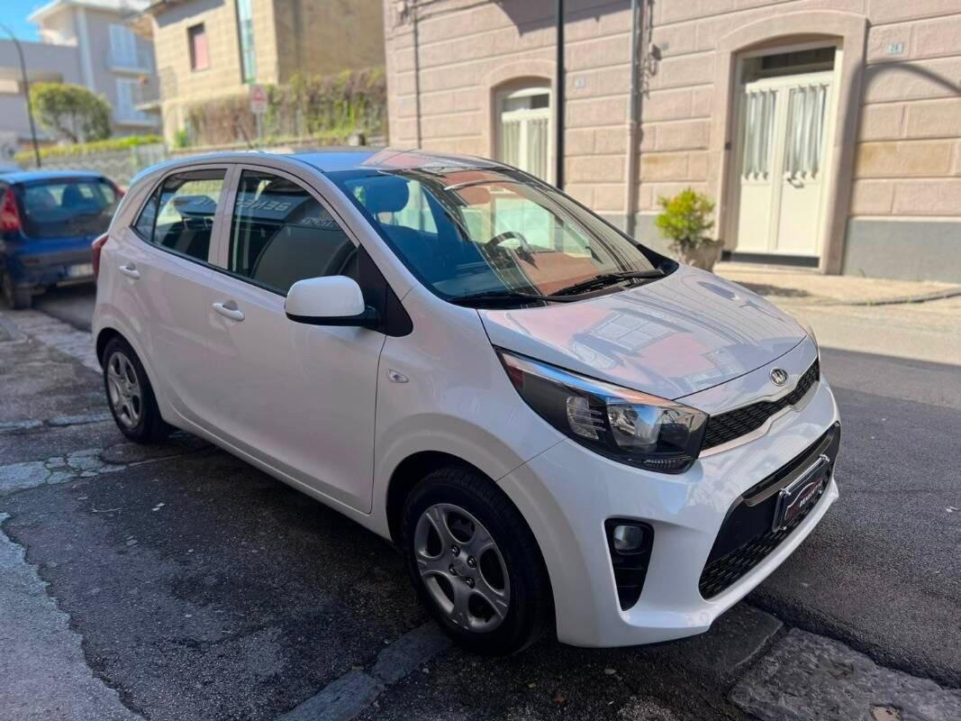 Kia Picanto 1.0 12V 5 porte Cool 2019